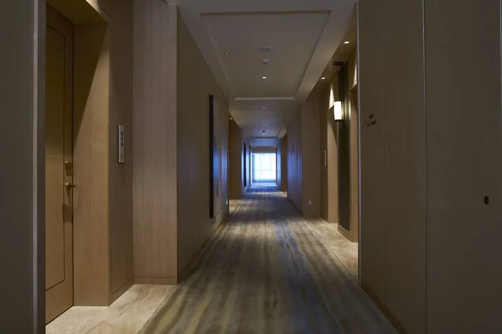 Hotel Single Entry Door With Frame